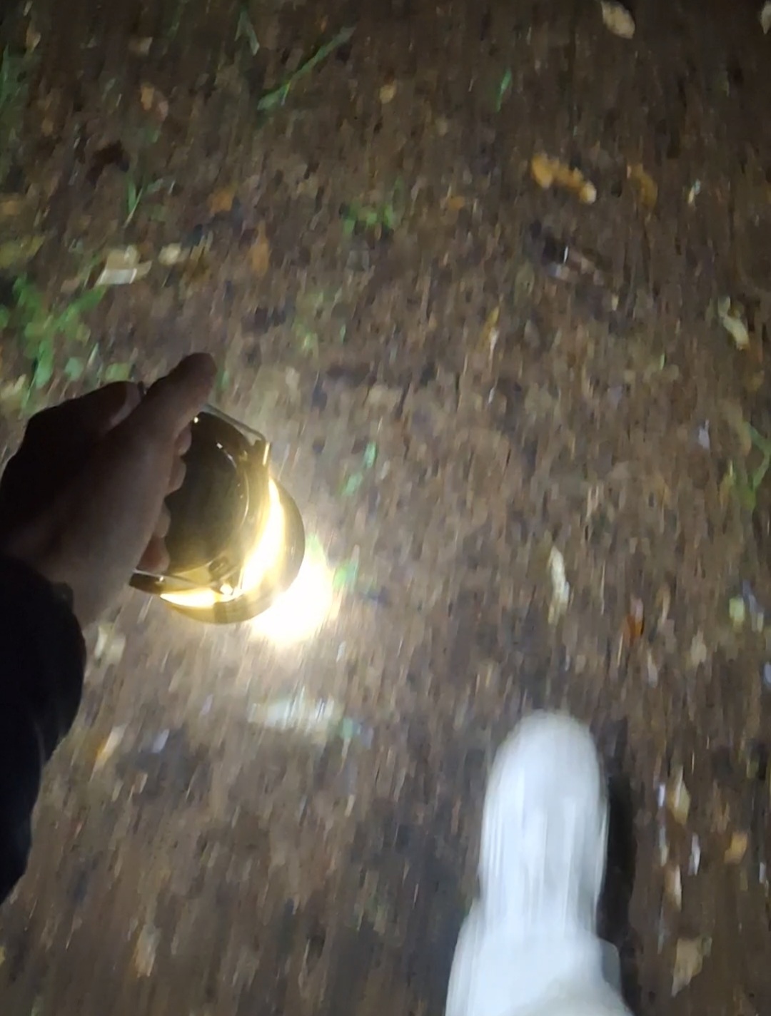 Screenshot_20260130_163816_Gallery